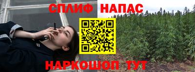 дмт Донской