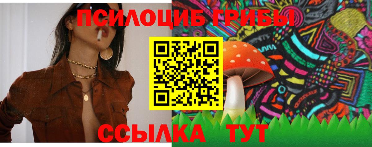 Галлюциногенные грибы Psilocybe Карталы